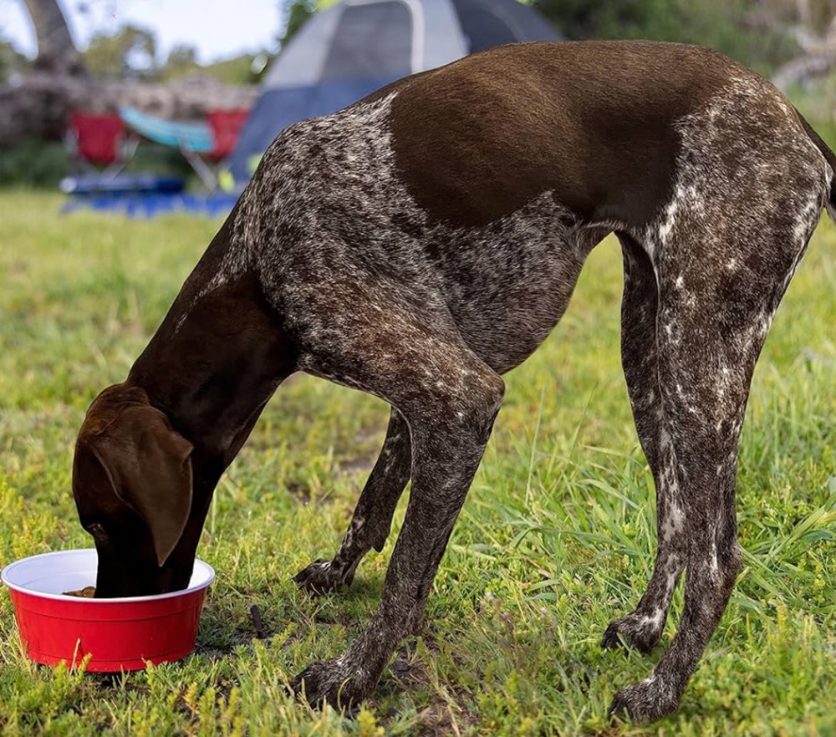 Red Solo Dog Bowl
