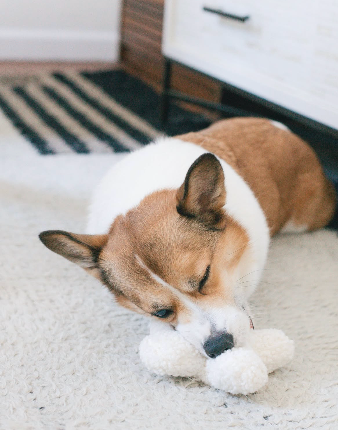 Hugs Boucle Toy