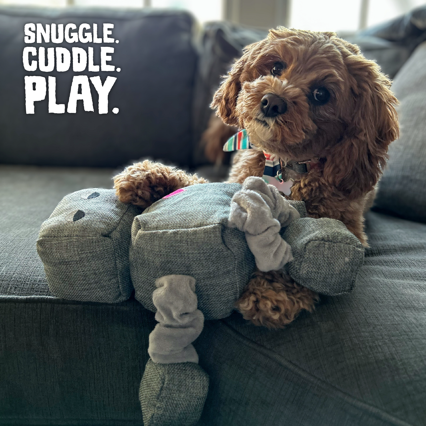 Ryder the Robot Dog Toy