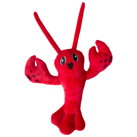 Luca the Lobster